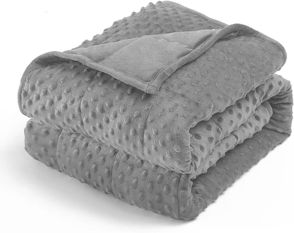Wemore Minky Dot Weighted Blanket for Adults Queen Size 15 lbs, 60 x 80 inches