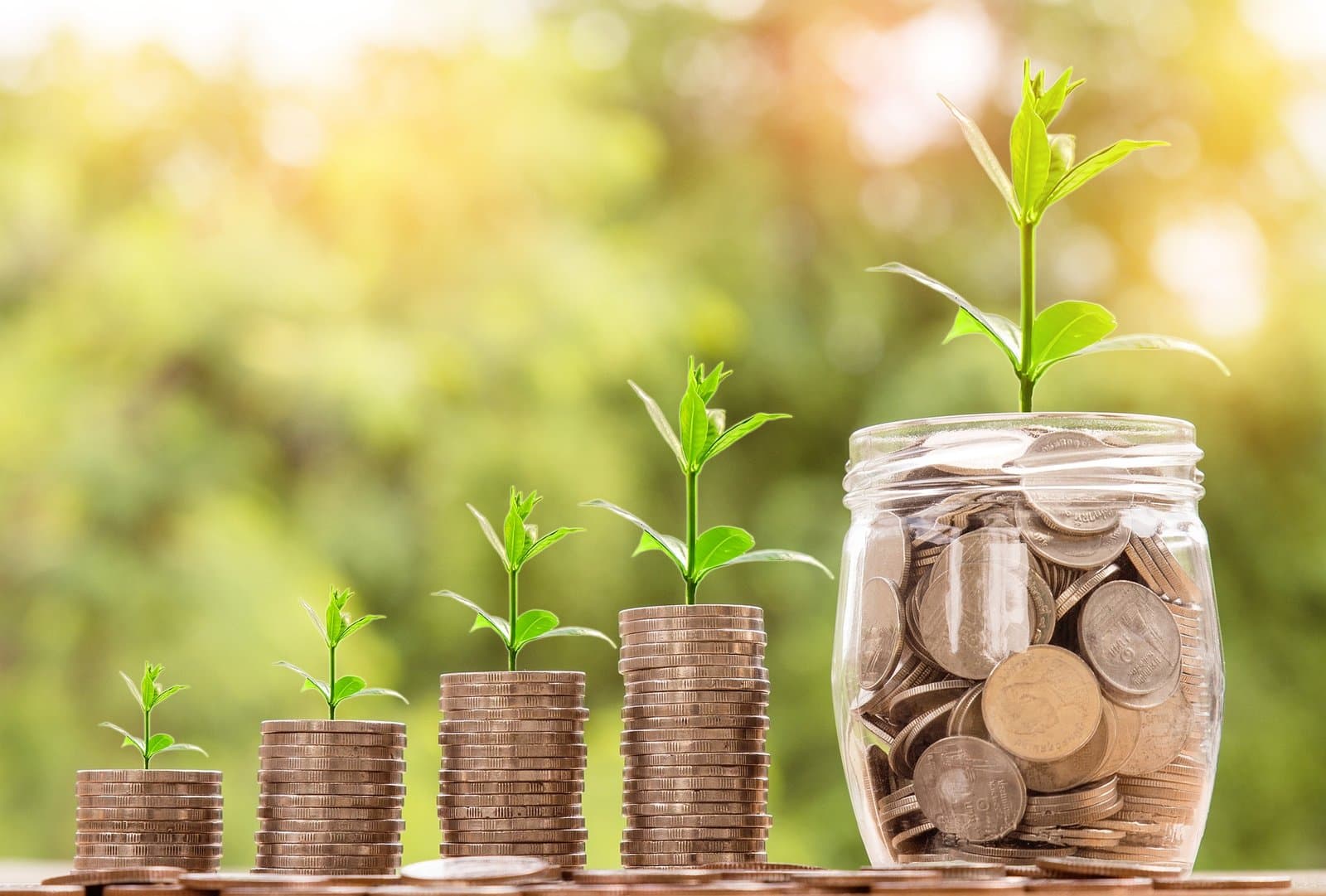The Power of 529 Plans: A Smart Investment for Education