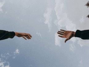 To Split or to Stay
